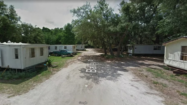 salvaron a una bebe recien nacida que habia sido abandonada en un area boscosa de florida