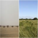 Fotos de 2007, 2018 y 2012 que muestran, de izquierda a derecha, la cordillera Cederberg en Sudáfrica, el desierto de Tenere en Níger y la sabana en Sudáfrica. (Fotos de AP/Schalk van Zuydam, Jerome Delay, Matthew Craft)