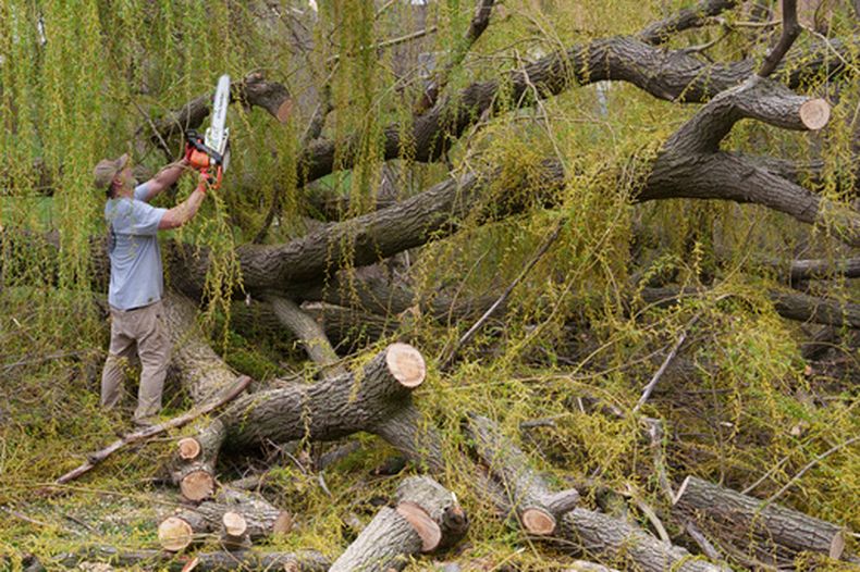 Jim Harbors saca restos de árboles que fueron tumbados durante tormentas en Deforest, Wisconsin, el 14 de abril del 2026. (AP foto/Jon Elswick)