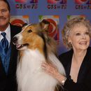 June Lockhart, a la derecha, quien interpretó el personaje de Ruth Martin, la madre de Timmy Martin, interpretado por Jon Provost, a la izquierda, durante la serie clásica Lassie posa para una fotografía con la novena generación de Lassie, el domingo 2 de noviembre de 2003, en Nueva York. (AP Foto/Louis Lanzano, Archivo)