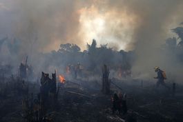 brasil sufre peores incendios forestales en mas de 10 anos