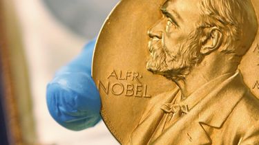 Estadounidenses Milgrom y Wilson ganan el Nobel de economía