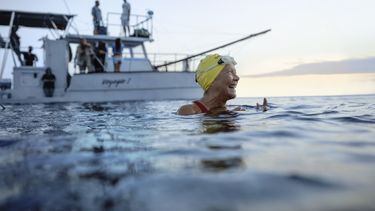 En esta imagen proporcionada por Netflix, Annette Bening como Diana Nyad en una escena de la película Nyad. (Liz Parkinson/Netflix vía AP)