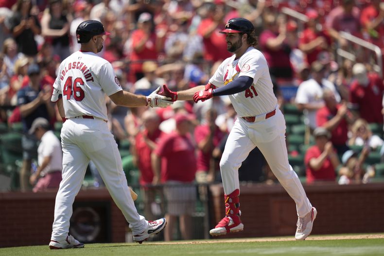 Alec Burleson (41), de los Cardenales de San Luis es felicitado por su compañero de equipo, Paul Goldschmidt (46) luego de conectar un jonrón solitario durante la tercera entrada del juego de béisbol ante los Rockies de Colorado, el domingo 9 de junio de 2024, en San Luis. (AP Foto/Jeff Roberson)