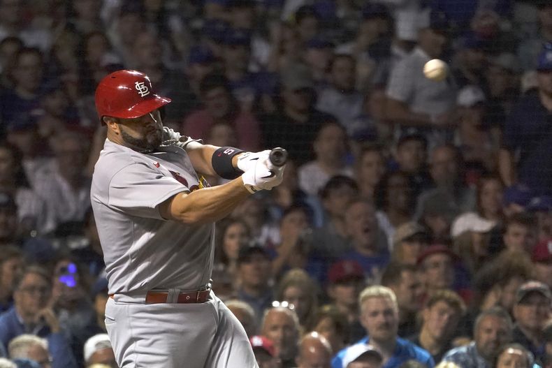 DEP-BEI CARDENALES-CACHORROS