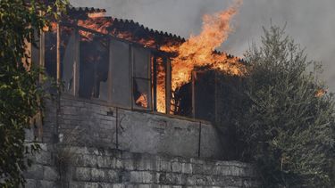 controlan incendio en isla de grecia; salvan hogares