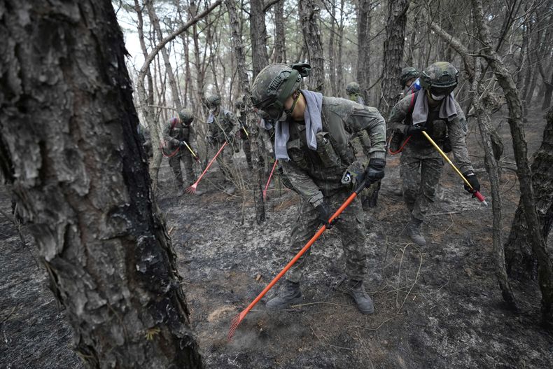 Soldados del Ejército de Corea del Sur realizan labores para prevenir la propagación de incendios forestales, el jueves 27 de marzo de 2025, en Uiseong, Corea del Sur. (AP Foto/Ahn Young-joon)