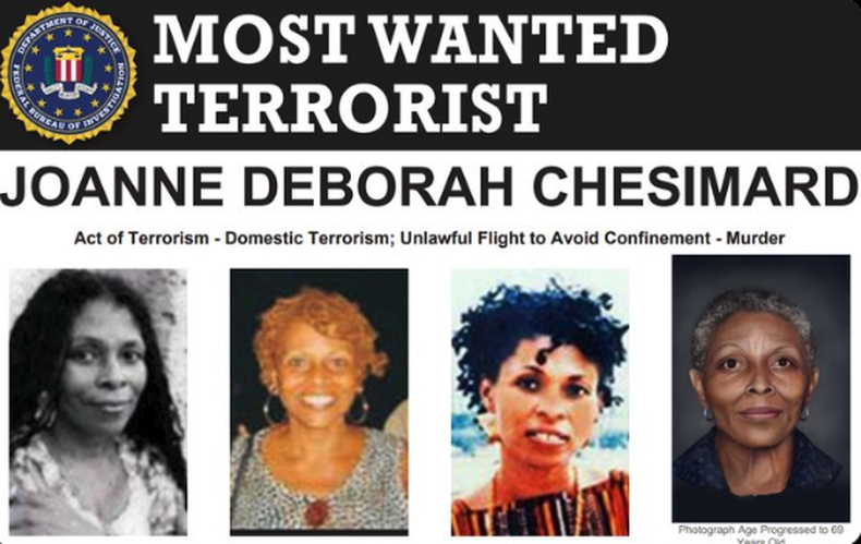 Assata Shakur.png