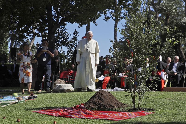 ARCHIVO - El papa Francisco camina hacia un roble recién plantado durante una ceremonia de plantación de árboles por el feriado de san Francisco de Asís, el santo patrón de la ecología, en el Vaticano, el 4 de octubre de 2019. (AP Foto/Alessandra Tarantino, archivo)