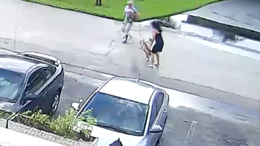 pitbull ataca brutalmente a una mujer