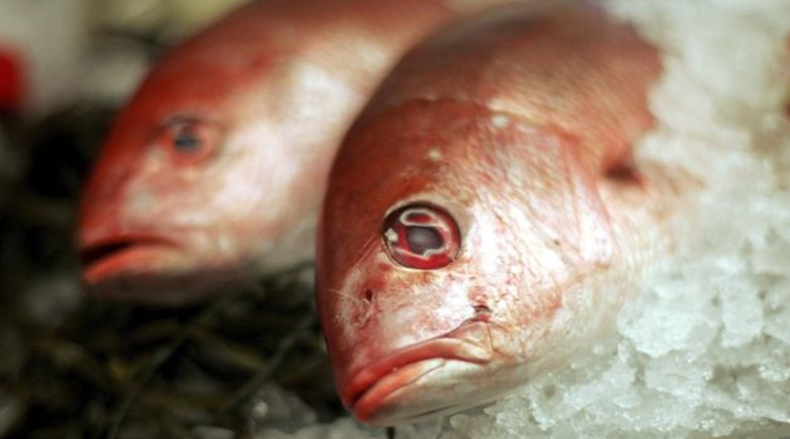 Screenshot (1419).png