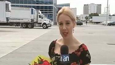 americateve | Así es como una empresa importadora de flores se prepara para el dia de San Valentín y es que en esta temporada la ciudad del Doral se convierte en el eje nacional de distribución de los millones de flores que el 14 de febrero se entregarán a miles de per