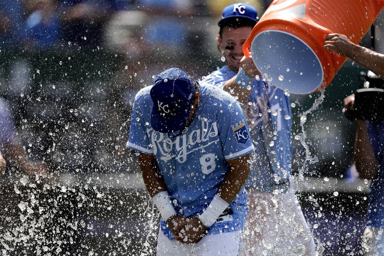 Nicky López, de los Reales de Kansas City, recibe un baño por parte de sus compañeros después de la victoria de su equipo en contra de los Dodgers de Los Ángeles, el domingo 2 de julio de 2023, en Kansas City, Missouri. Los Reales ganaron 9-1 y aseguraron su primera serie desde el 17 de mayo. (AP Foto/Charlie Riedel)