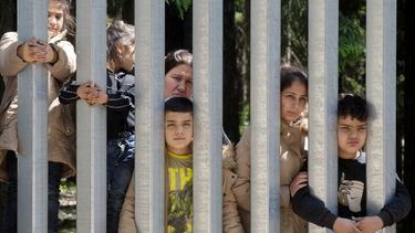 Integrantes de un grupo de unos 30 migrantes que buscan asilo, el domingo 28 de mayo de 2023, en Bialowieza, Polonia, detrás de un muro fronterizo construido por Polonia en sus límites con Bielorrusia para evitar la enorme presión migratoria. (AP Foto/Agnieszka Sadowska)