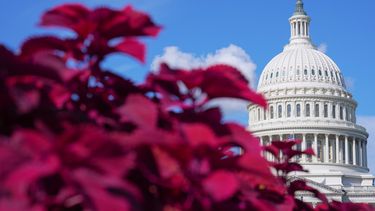 El Capitolio de Estados Unidos, el viernes 18 de septiembre de 2026, en Washington. (AP Foto/Mariam Zuhaib)