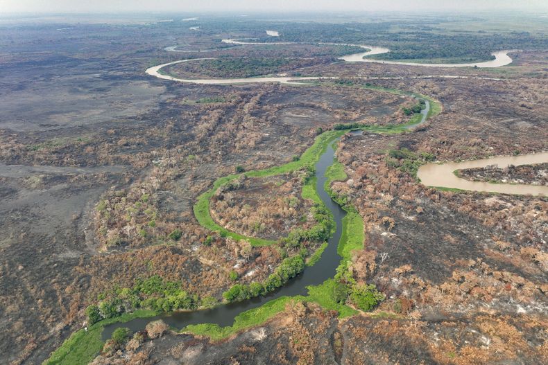 ARCHIVO- El parque Encuentro de las Aguas se encuentra dentro de la zona de los humedales del Pantanal, cerca de Pocone, en el estado de Mato Grosso, Brasil, el 17 de noviembre de 2023, luego que incendios forestales consumieron parte de la zona. (AP Foto/Andre Penner, archivo)