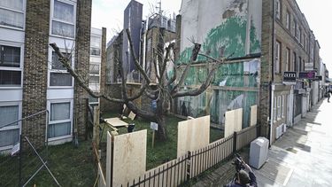 Marcos y protecciones colocadas junto a la obra de arte de Banksy en el costado de un edificio residencial en Hornsey Road, al norte de Londres, el miércoles 27 de marzo de 2024. La obra que ha sido cubierta con láminas de metacrilato para protección tras un aparente acto de vandalismo. (Aaron Chown/PA vía AP)