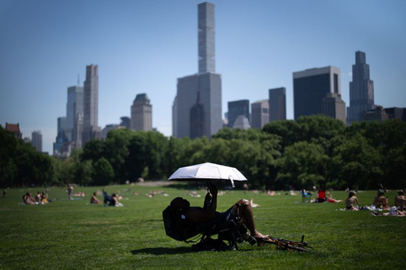 ARCHIVO – Una persona usa una sombrilla para protegerse del sol durante una advertencia de calor en Central Park, el 19 de mayo de 2026, en Nueva York. (AP Foto/Adam Gray, Archivo)