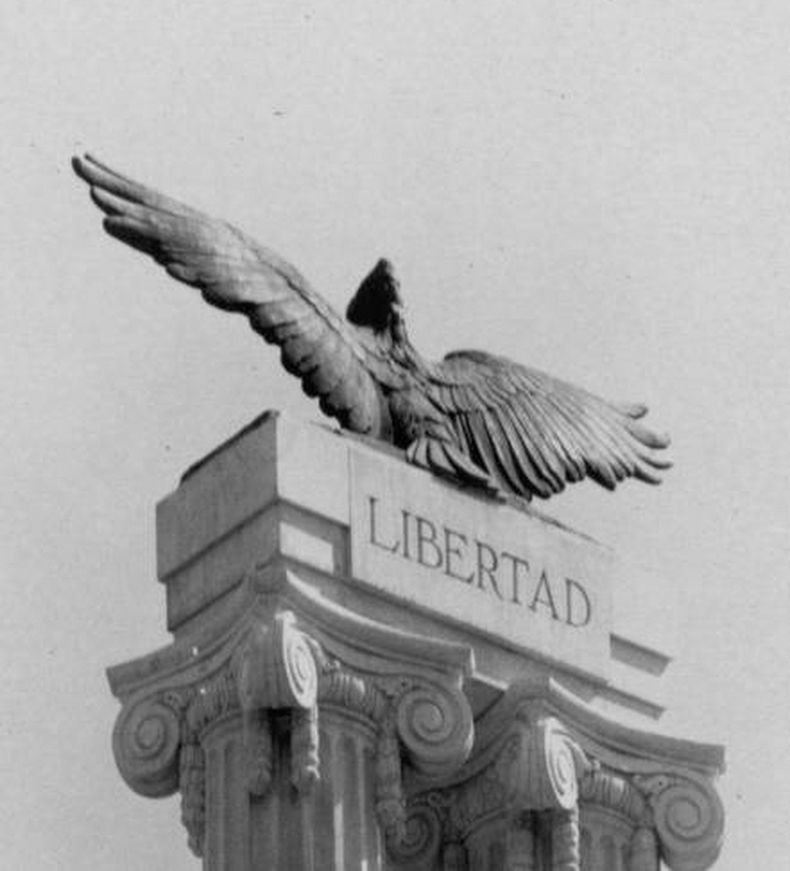 eagle10r.jpg