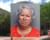 Buscan víctimas de  anciana cubana que ha estafado millones de dólares a varias personas en Miami 