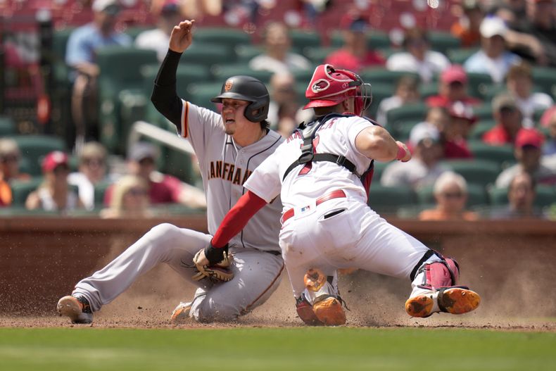 Wilmer Flores, izquierda, de los Gigantes de San Francisco, anota superando el toque del receptor de los Cardenales de San Luis, Andrew Knizner (7), durante la 10ma entrada del juego de béisbol el miércoles 14 de junio de 2023, en San Luis. Los Gigantes ganaron 8-5. (AP Foto/Jeff Roberson)