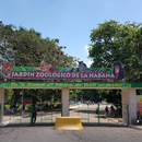 El Zoológico de La Habana, de emblema capitalino a símbolo de abandono y miseria