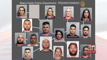 cae banda acusada de robar decenas de autos, cambiarles el titulo y el vin para luego venderlos en subastas