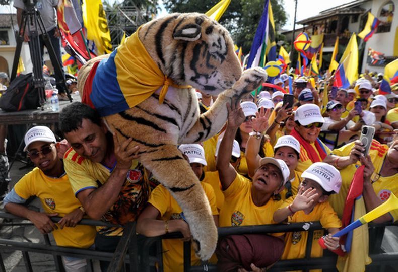 Simpatizantes del candidato presidencial Abelardo de la Espriella sostienen un tigre de peluche durante un mitin de campaña, el domingo 14 de junio de 2026, en Buga, Colombia. (AP Foto/Santiago Saldarriaga)