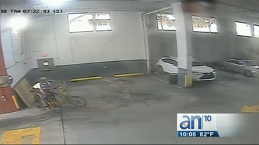 autoridades buscan a ladron de bicicletas en brickell