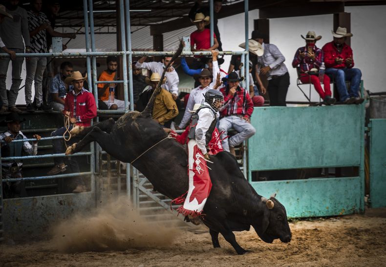 El Rodeo Tenerife Rodeo en Cuba, una pasión que resiste a las dificultades