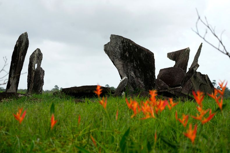 Pasto y flores rodean el Parque Arqueológico del Solsticio, al que algunos llaman el Stonehenge de la Amazonía, en Calçoene, en el estado de Amapá, Brasil, el 13 de marzo de 2026. (AP Foto/Eraldo Peres)