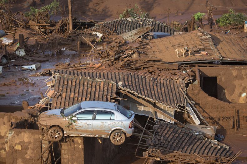 ARCHIVO – Un auto y dos perros en el tejado de una vivienda destruida en el pequeño poblado de Bento Rodrigues, tras el derrumbe de una represa en el estado de Minas Gerais, Brasil, el 6 de noviembre de 2015. (AP Foto/Felipe Dana, Archivo)