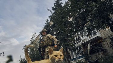 Zelenskyy visita la liberada pero devastada ciudad de Izium