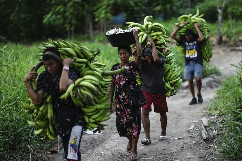 ARCHIVO - Tres hombres y una mujer cargan con plátanos y pescado desde el puerto, en Leticia, Colombia, el 21 de octubre de 2024. (AP Foto/Iván Valencia, archivo)