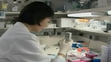 Buscan reducir casos de enfermedades de transmisión sexual