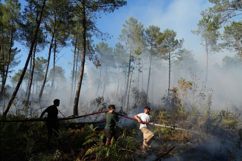 Un grupo de personas sostiene una manguera e intenta extinguir un fuego cerca de Lacanau, mientras los incendios arden a las afueras de Burdeos, Francia, el lunes 27 de julio de 2026. (AP Foto/Baz Ratner)