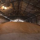 Líderes financieros ponen en foco en inseguridad alimentaria