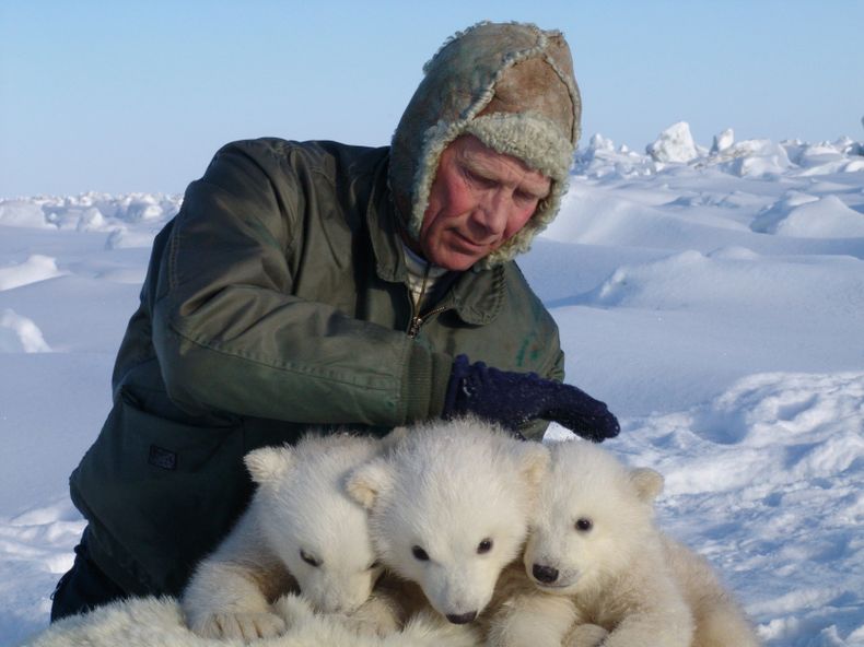 El investigador Steve Amstrup sostiene a tres cachorros de oso polar en la bah&iacute;a Prudhoe, Alaska, en foto tomada en 2005 que difundi&oacute; el Servicio Geol&oacute;gico de Estados Unidos. Seg&uacute;n un estudio, la poblaci&oacute;n de osos polare