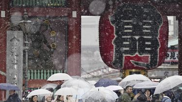 Un grupo de personas visita el templo Sensoji, en el distrito de Asakusa en Tokio, en plena nevada el lunes 5 de febrero de 2024. (Kyodo News vía AP)