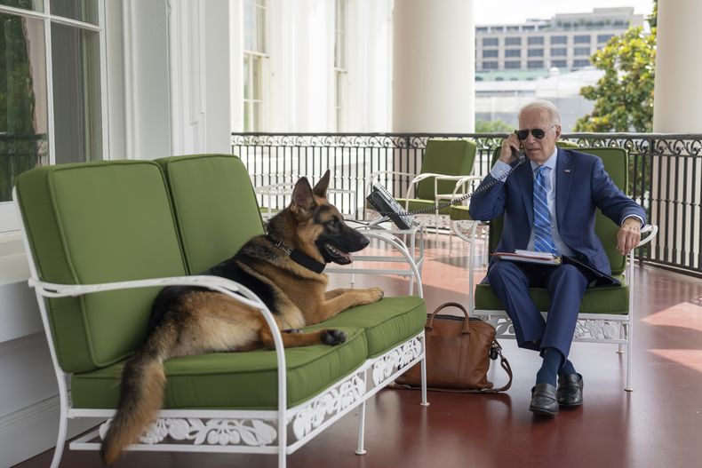 AMN-GEN BIDEN-COVID