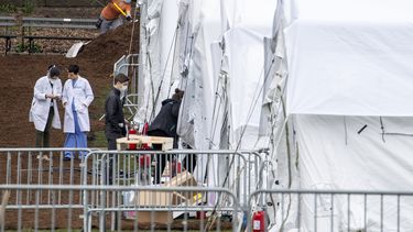 EEUU pronostica de 100.000 a 240.000 muertes por COVID-19