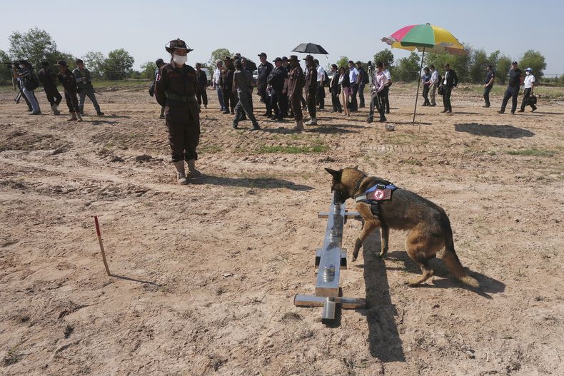 ASI-GEN UCRANIA-CAMBOYA-MINAS