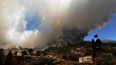 un incendio forestal en canarias afecta mas de 2.000 hectareas y obliga al desalojo de 500 vecinos