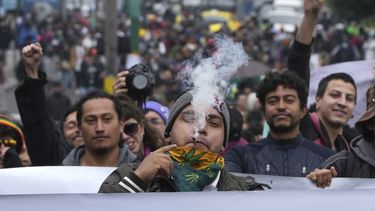 Ecuatorianos exigen en Quito despenalización de cannabis